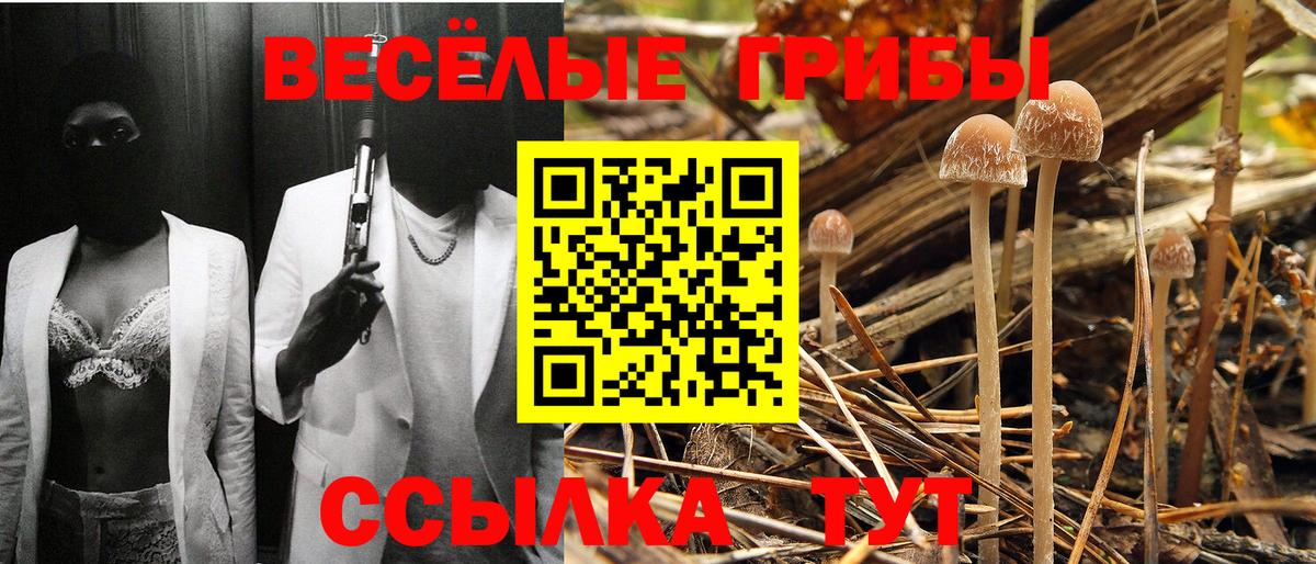 Галлюциногенные грибы GOLDEN TEACHER  Вход с VPN  Алапаевск 