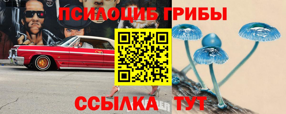 Галлюциногенные грибы мухоморы Алапаевск